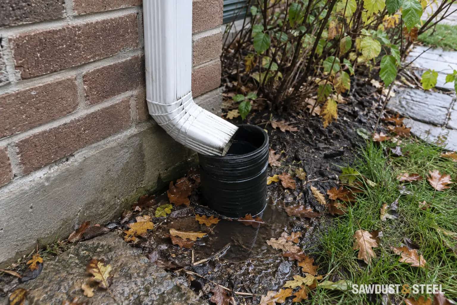 Downspout entering an underground drainage pipe beside wet soil and leaves.
